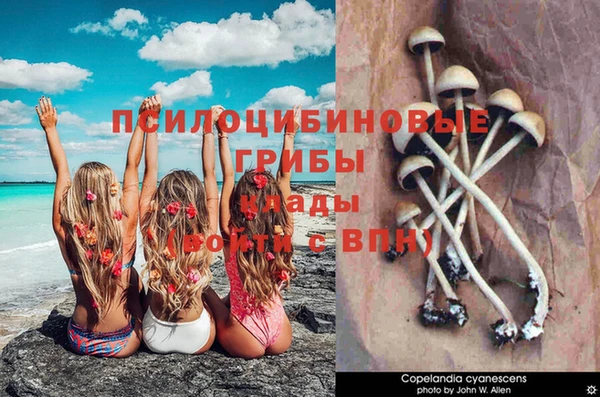 мяу мяу мука Балабаново